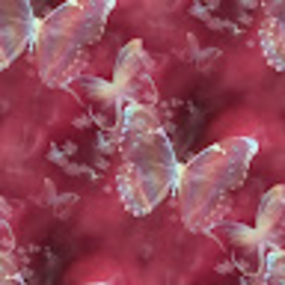 Meet your Posher, Sandi - Picture 1 of 1